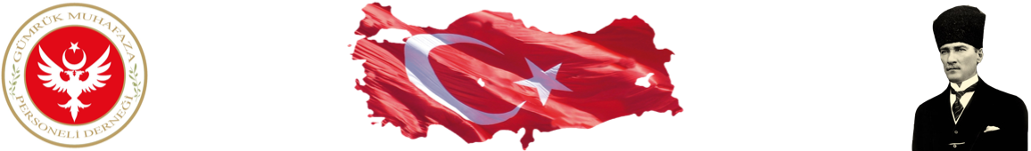 gumrukmuhafaza.org.tr